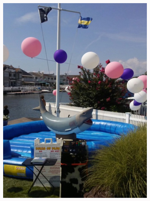  mechanical bull rental in South Carolina