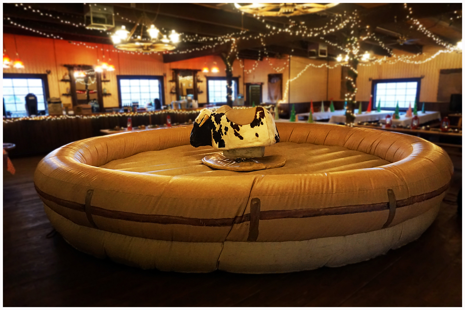 mechanical bull rental in Columbia SC